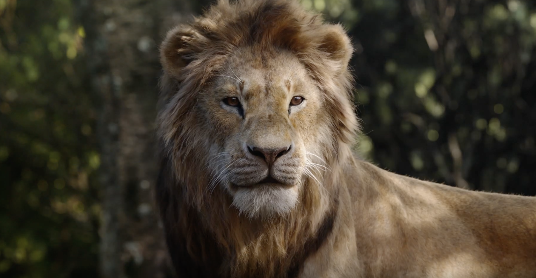 Vídeo mostra elenco de O Rei Leão cantando