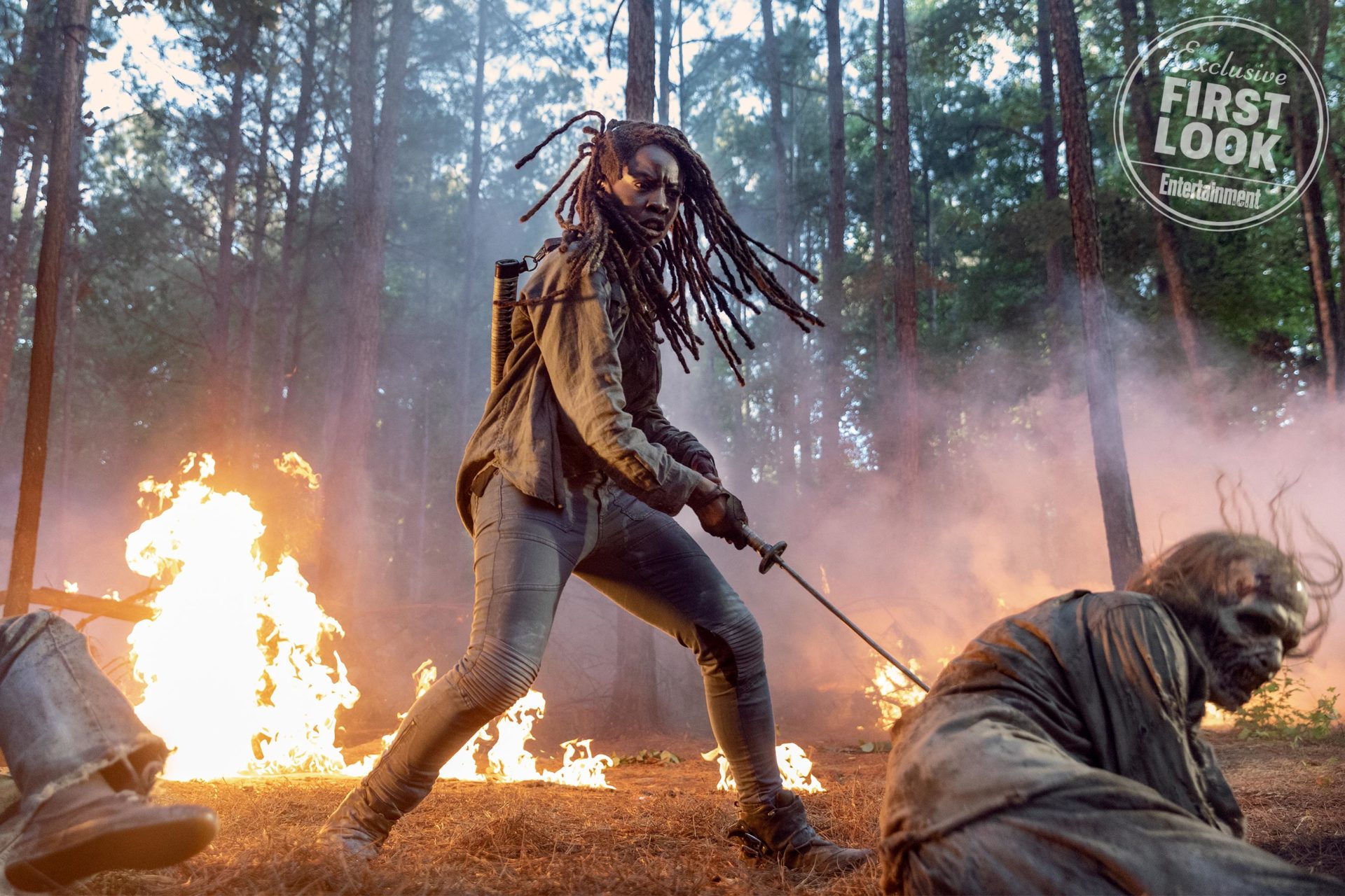 Pôsteres de The Walking Dead na SDCC dão pistas da 10ª temporada