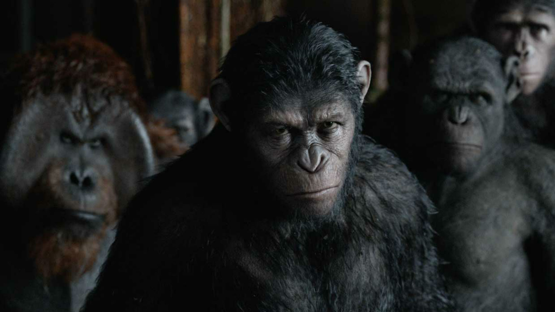 Disney volta a falar sobre novos filmes de Planeta dos Macacos