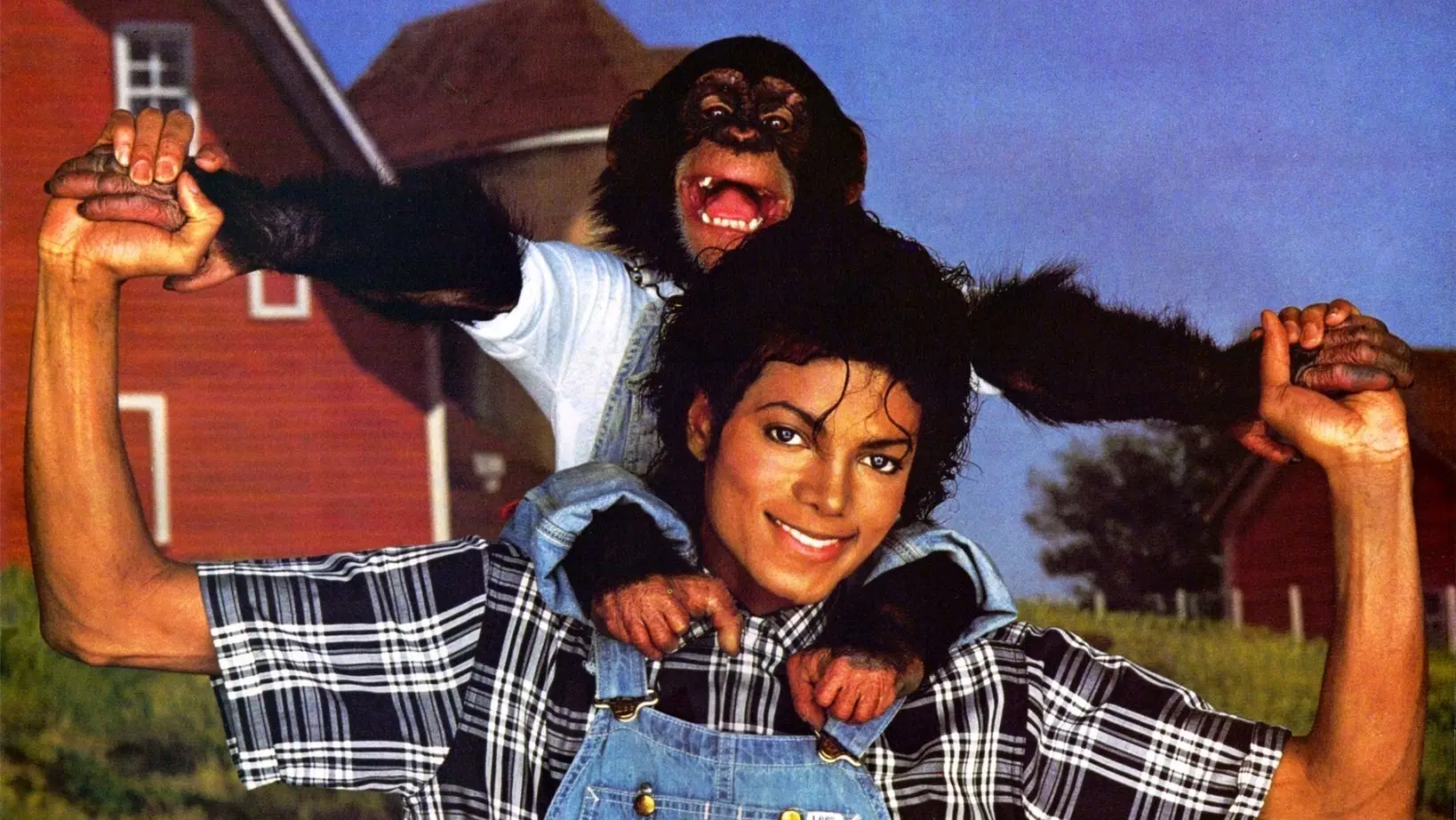 Chimpanzé de Michael Jackson teve trágico destino