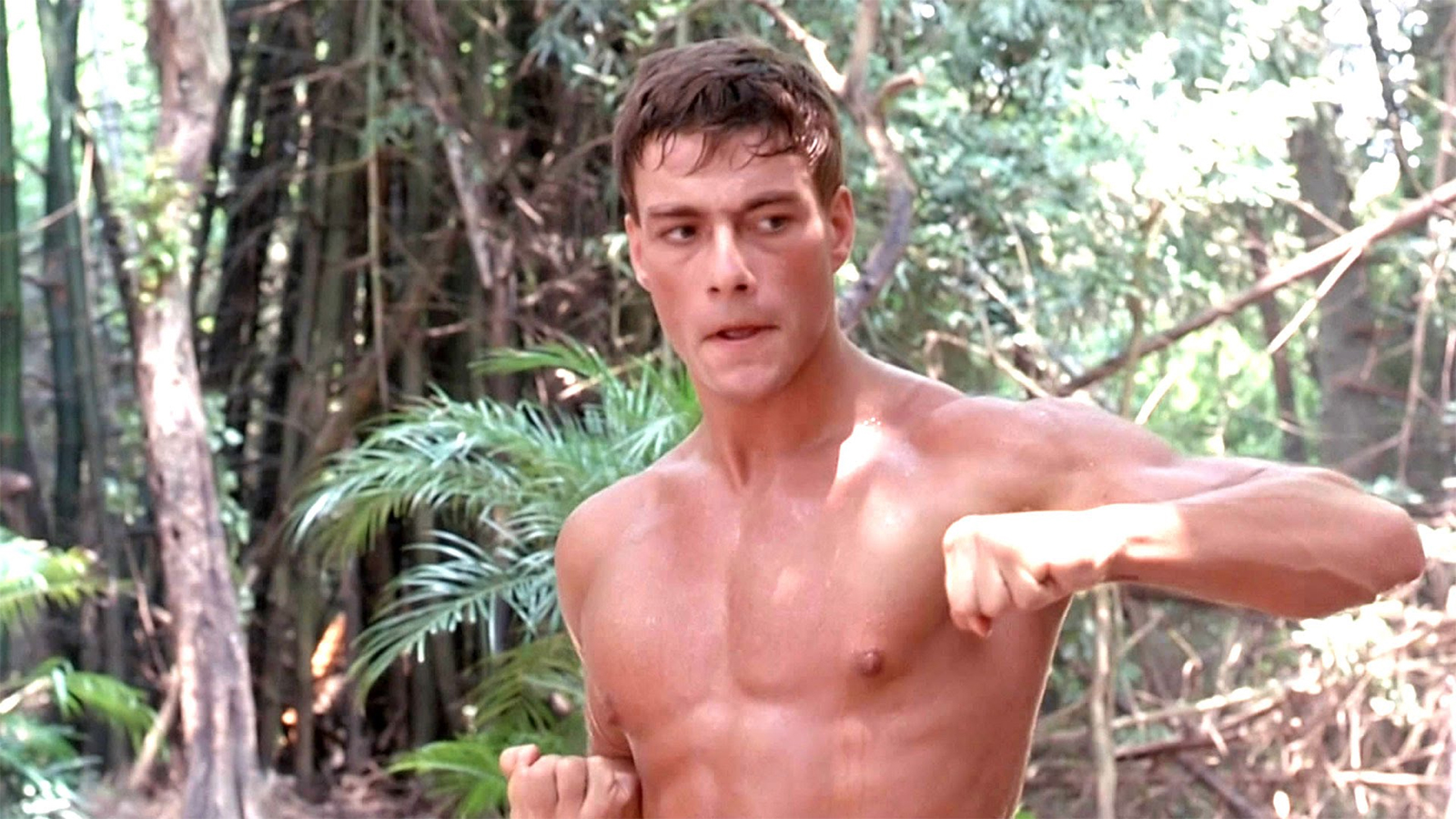 Personagem inspirado em Van Damme está em Mortal Kombat? Veja