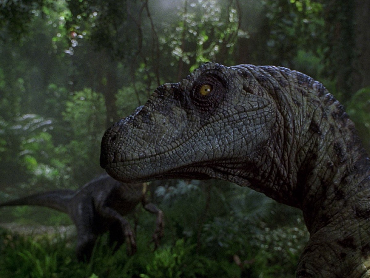 Fãs ainda ficam confusos com mistério de Jurassic Park 3