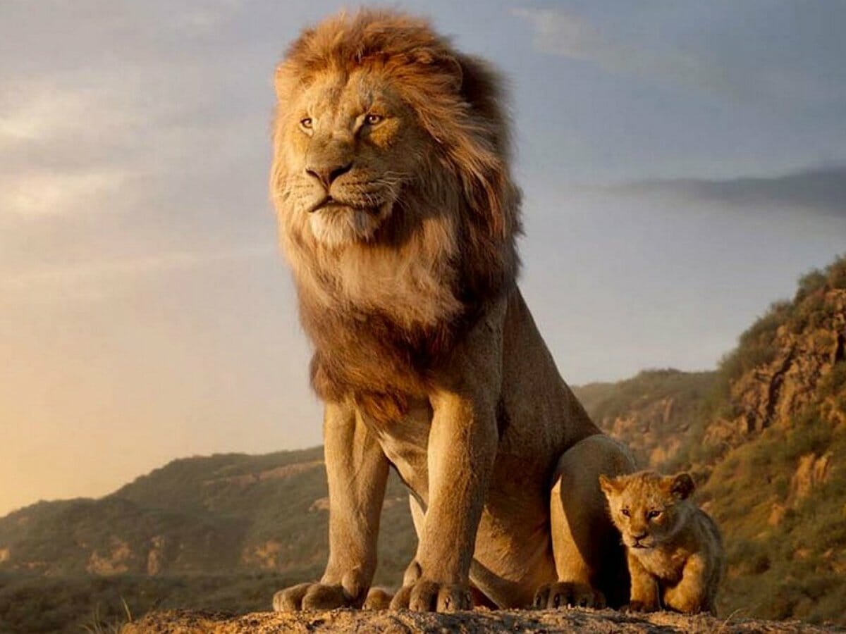 Disney escolhe protagonistas de novo O Rei Leão