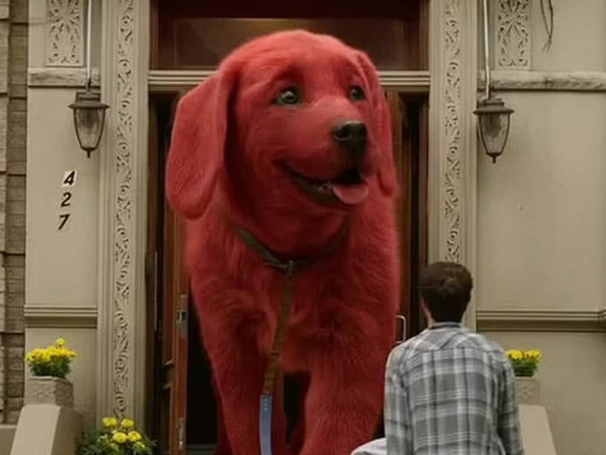 Onde assistir filme live-action de Clifford: O Gigante Cão Vermelho