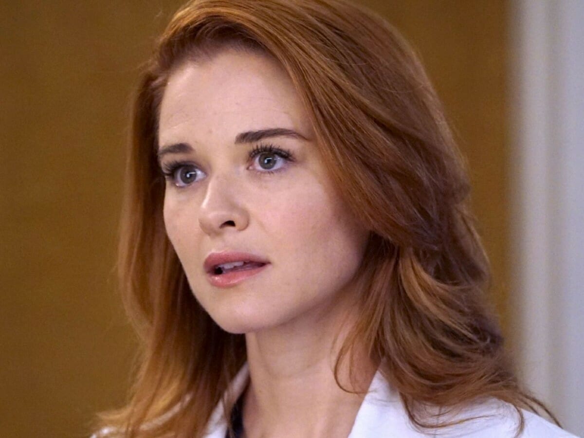 Sarah Drew reprisou papel de April na 17ª temporada