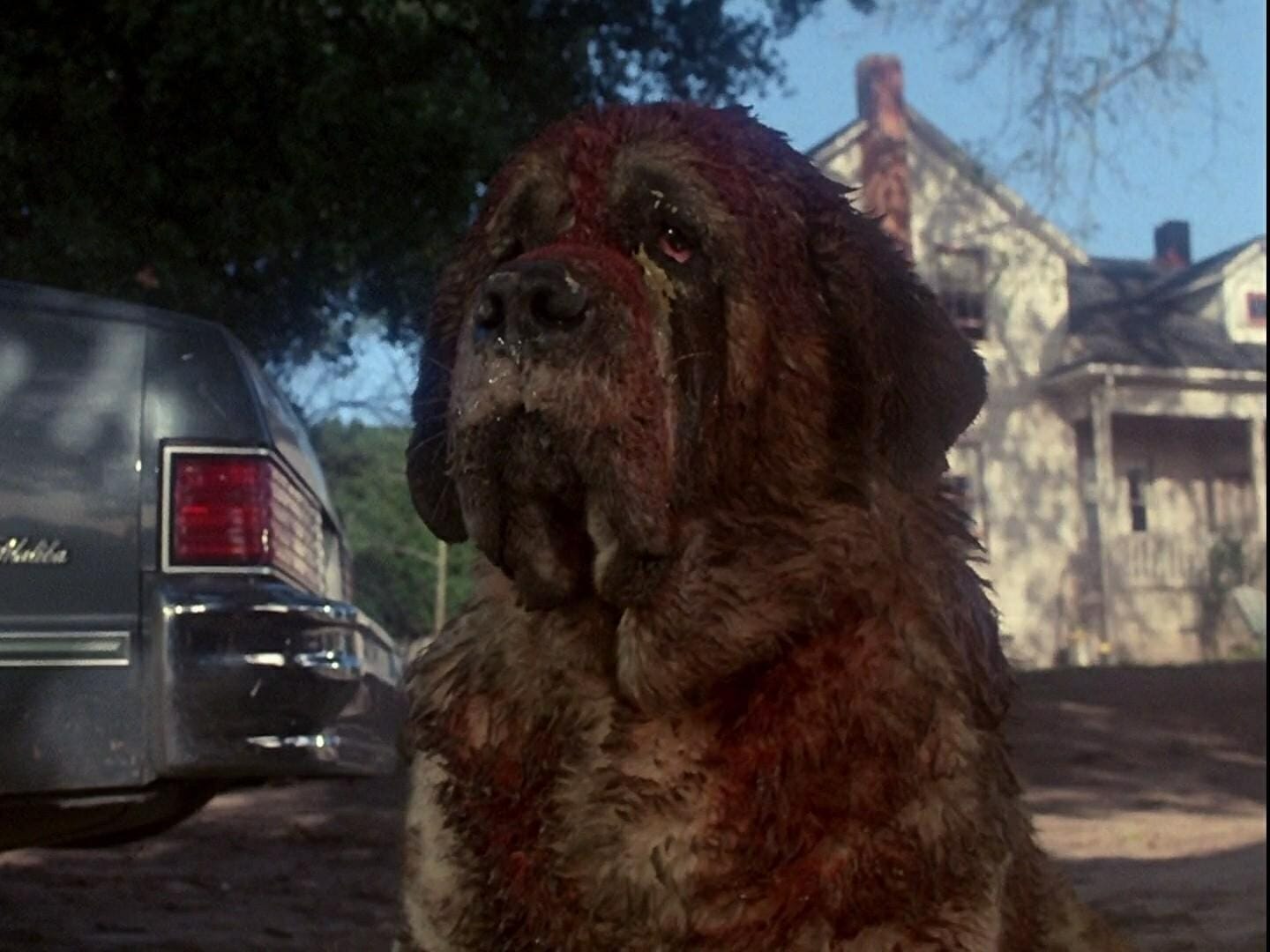 Cujo, famoso filme de terror de 1983
